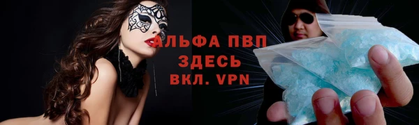 стаф Заволжск